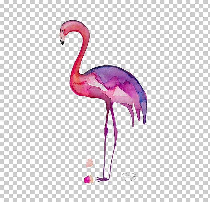 Greater Flamingo Drawing PNG, Clipart, Animal, Animals, Beak, Bird, Cartoon Free PNG Download