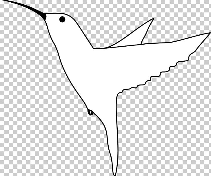 Hummingbird Drawing PNG, Clipart, Angle, Animal, Animals, Area, Art Free PNG Download