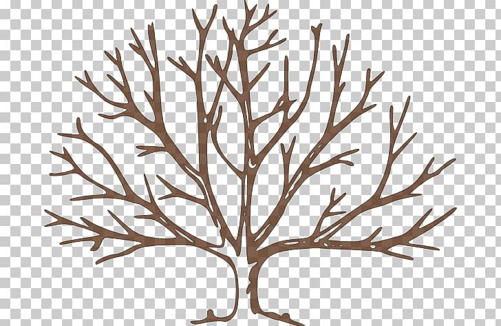 Tree Free Content PNG, Clipart, Bare Cliparts, Branch, Drawing, Free Content, Graphic Arts Free PNG Download