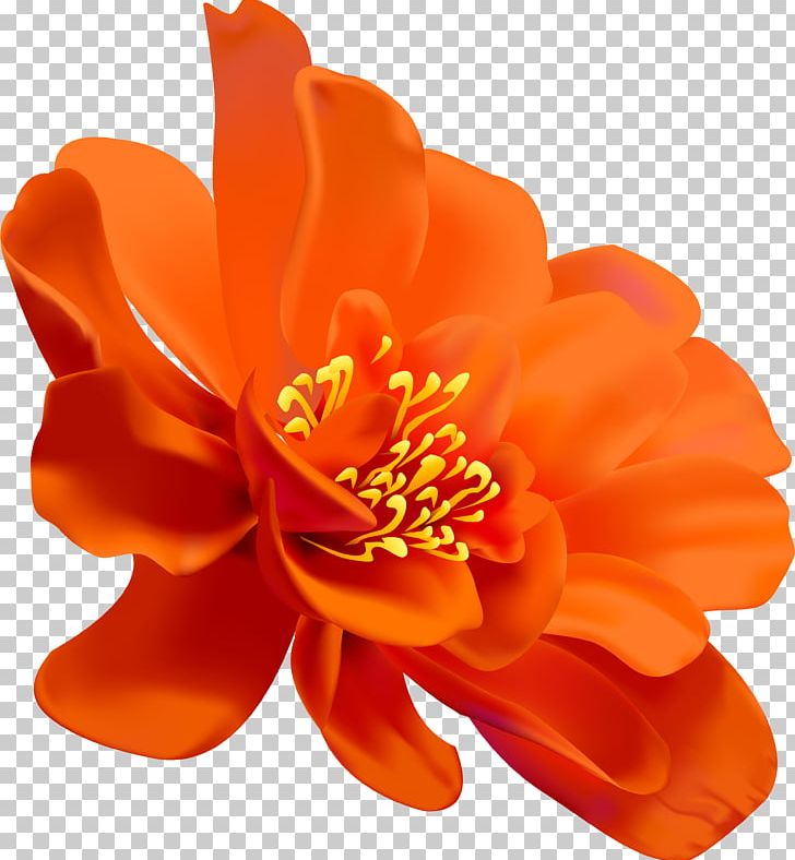 Watercolor Painting Flower Petal Floral Design PNG, Clipart, Artificial Flower, Cut Flowers, Draw, Floral Design, Flower Free PNG Download