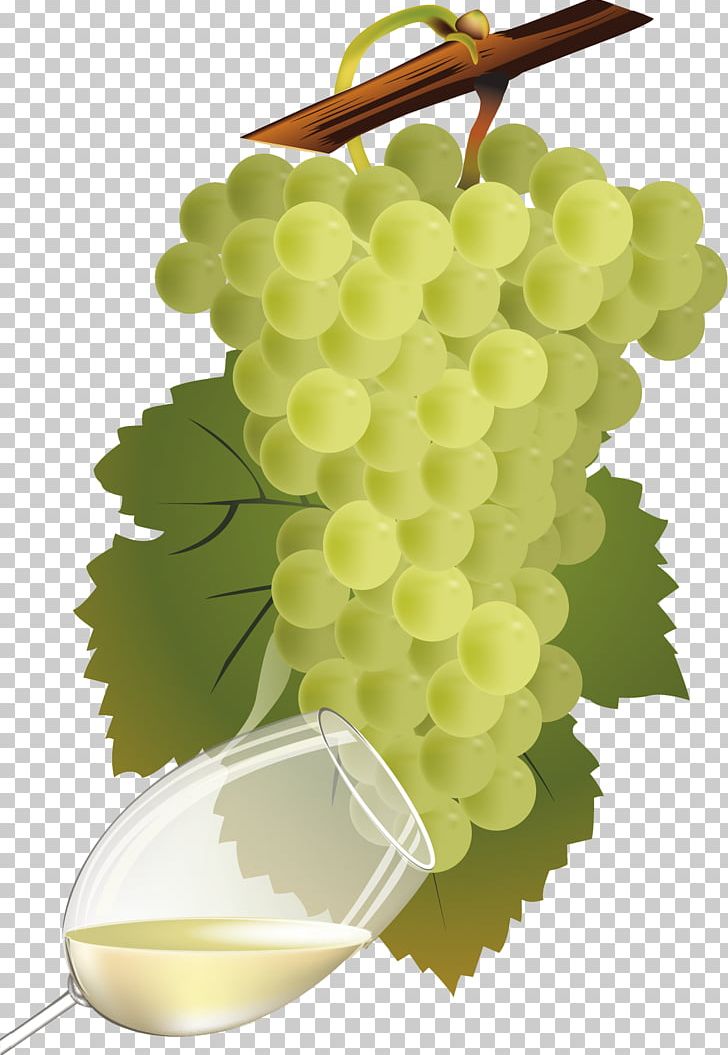White Wine Chenin Blanc Pinot Blanc Sauvignon Blanc PNG, Clipart, Chenin Blanc, Common Grape Vine, Concord Grape, Food, Food Drinks Free PNG Download