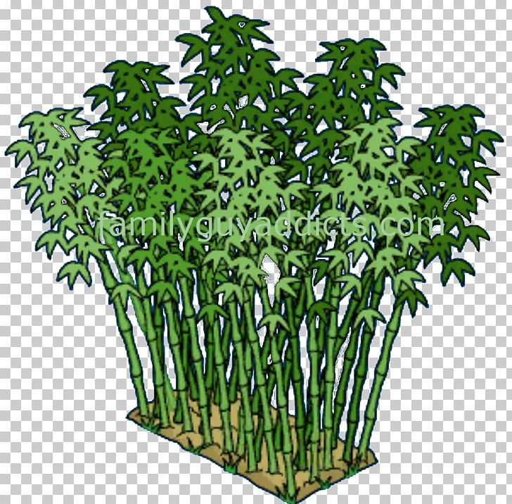 Flowerpot Tree Shrub Plant Stem PNG, Clipart, Family Guy, Flowerpot, Grass, Nature, Plant Free PNG Download