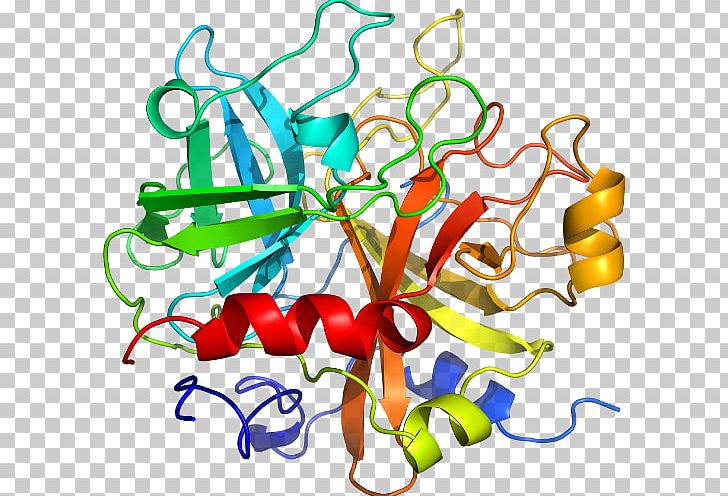 Interleukin-1 Family Interleukin 1 Receptor PNG, Clipart, Artwork, Cell, Cell Surface Receptor, Cluster Of Differentiation, D 1 Free PNG Download