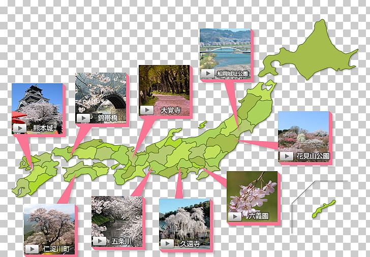 Kyoto Product Map Japanese People PNG, Clipart, Flora, Japan, Japanese People, Kyoto, Map Free PNG Download