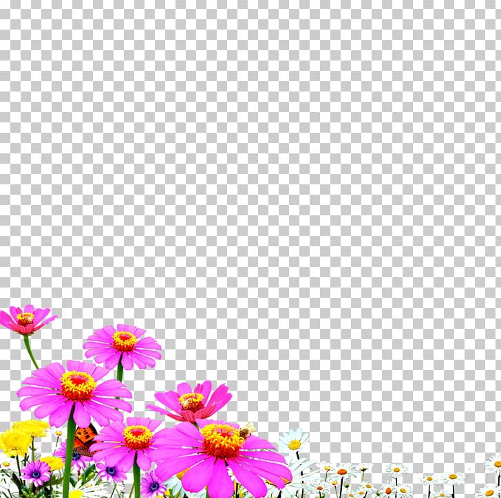 Purple Computer Wallpaper Grass PNG, Clipart, Computer Wallpaper, Dahlia, Daisy, Daisy Family, Designer Free PNG Download