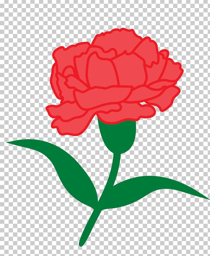 Garden Roses Student Phi Alpha Delta Law Fraternity PNG, Clipart, Artwork, Carnation, Carnetion, Cut Flowers, Fellow Free PNG Download