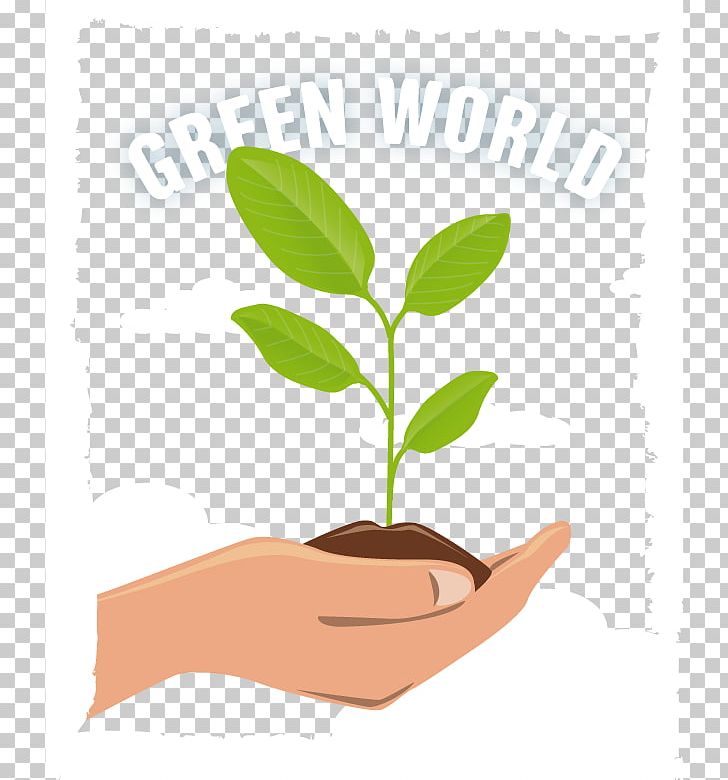 Leaf Finger Plant Stem Alternative Health Services PNG, Clipart, Alternative Health Services, Alternative Medicine, Background Green, Earth, Earth Globe Free PNG Download