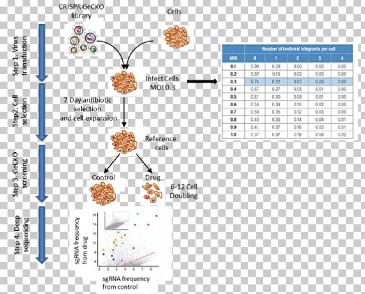 Line Product Point Organism Diagram PNG, Clipart, Area, Art, Diagram, Line, Loss Function Free PNG Download