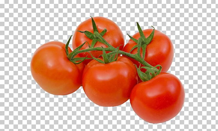 Plum Tomato Bush Tomato Vegetable Food Roma Tomato PNG, Clipart, Bush Tomato, Diet Food, Eating, Food, Fruit Free PNG Download