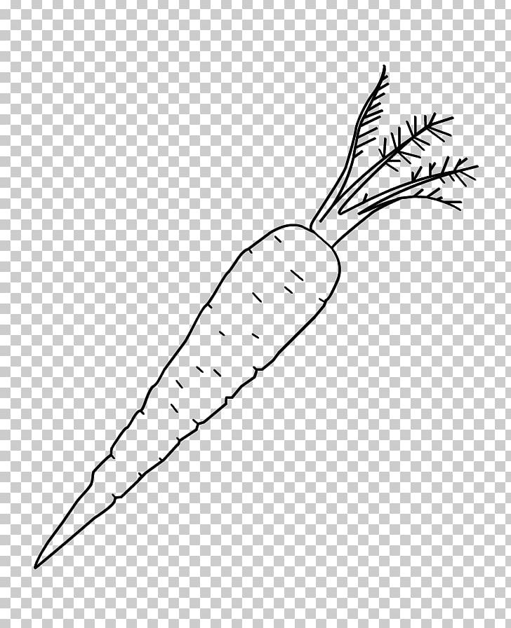 Drawing Kleurplaat Carrot Food Sinterklaas PNG, Clipart, Angle, Artwork, Beak, Bird, Black And White Free PNG Download