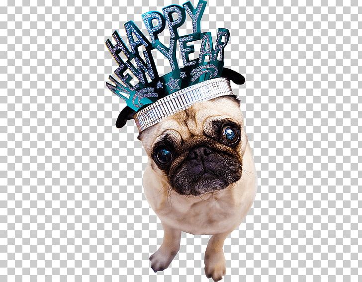 Happy New Year Dog PNG, Clipart, Happy New Year, Holidays Free PNG Download