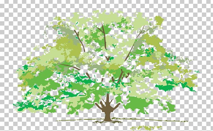 Autumn Spring Summer PNG, Clipart, Autumn, Branch, Drawing, Flora, Floral Design Free PNG Download