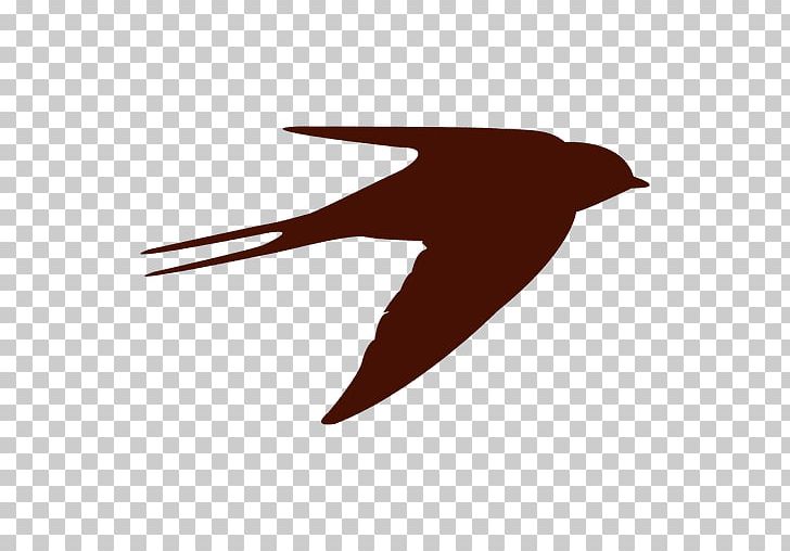 Bird Beak Flight Swallow Silhouette PNG, Clipart, Animals, Beak, Bird, Bird Fly, Drawing Free PNG Download