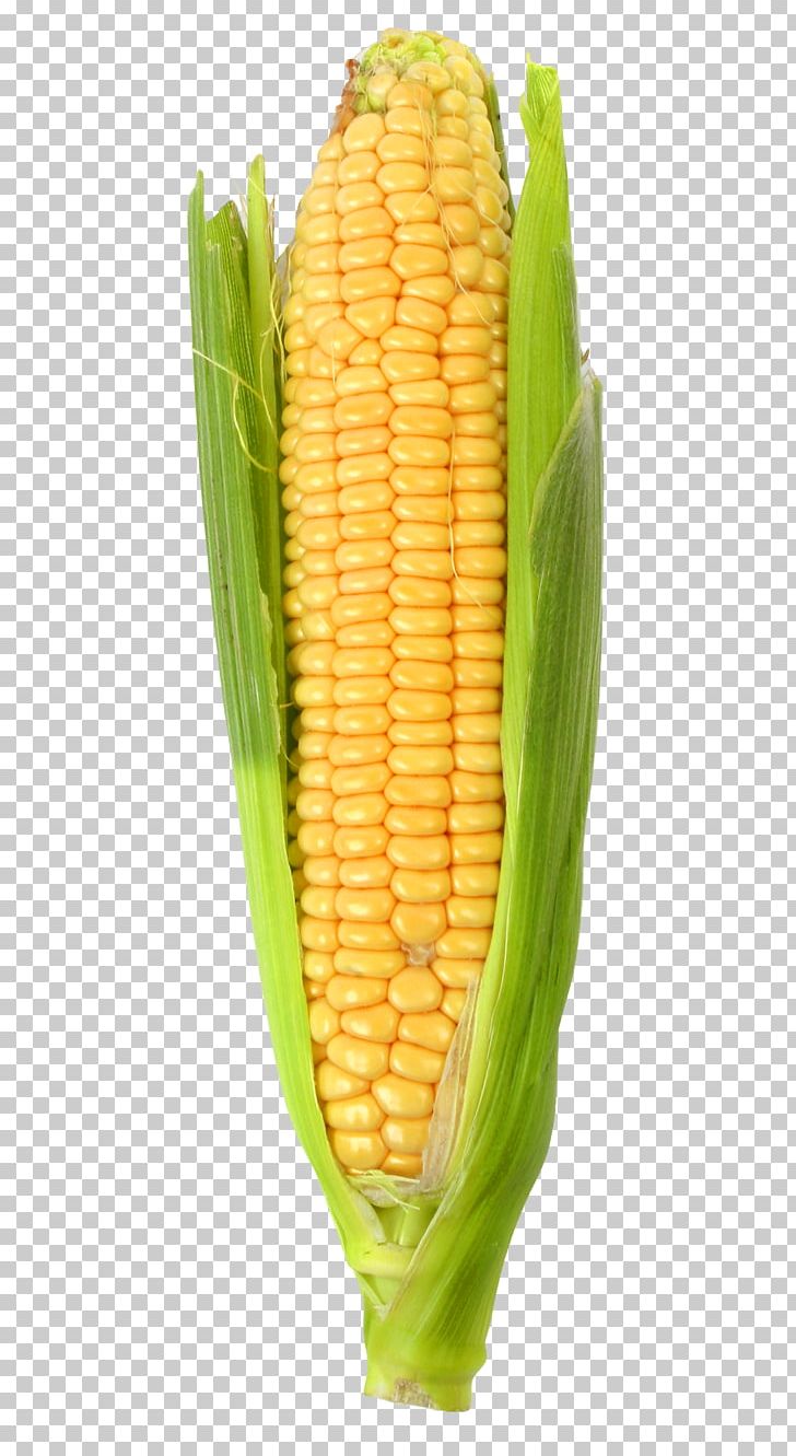 Corn On The Cob Maize Plank Road Market PNG, Clipart, Autodesk, Commodity, Corn, Corn Kernel, Corn Kernels Free PNG Download