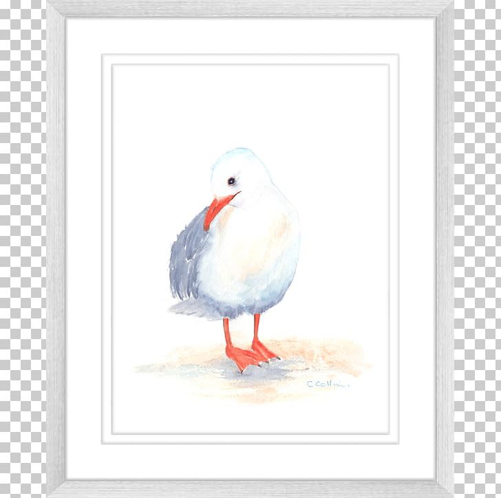 Duck Gulls Seabird Fauna Watercolor Painting PNG, Clipart, Animals, Beak, Bird, Color, Duck Free PNG Download