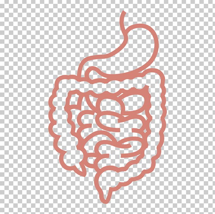 Gastrointestinal Tract Computer Icons Human Digestive System PNG, Clipart, Clip Art, Computer Icons, Digestive System, Finger, Gastrointestinal Tract Free PNG Download