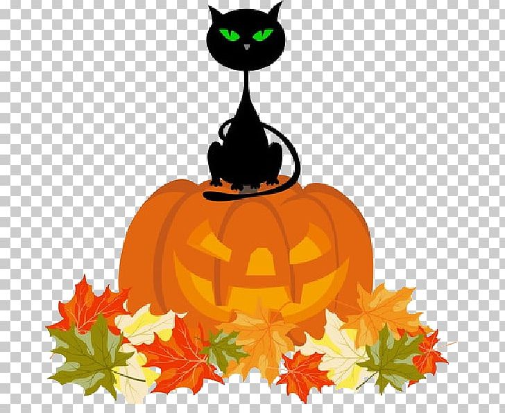 Halloween Costume Jack Skellington Halloween Costume Curtain PNG, Clipart, Carnivoran, Cat, Cat Like Mammal, Costume, Cucurbita Free PNG Download