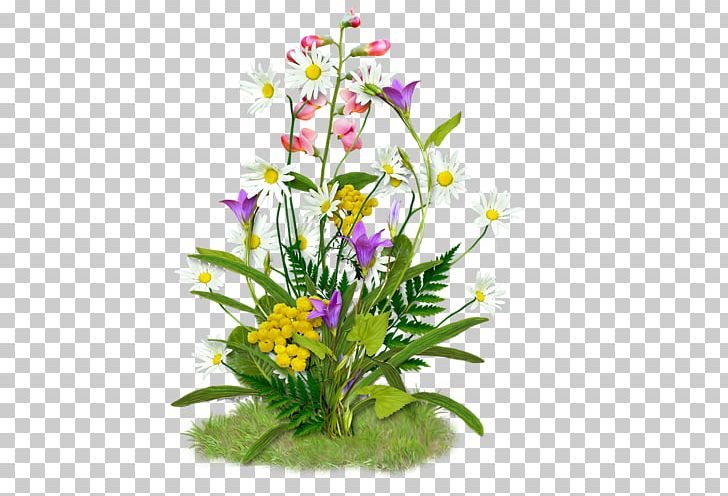 PAQ Flower PNG, Clipart, Annual Plant, Cut Flowers, Digital Image, Display Resolution, Encapsulated Postscript Free PNG Download