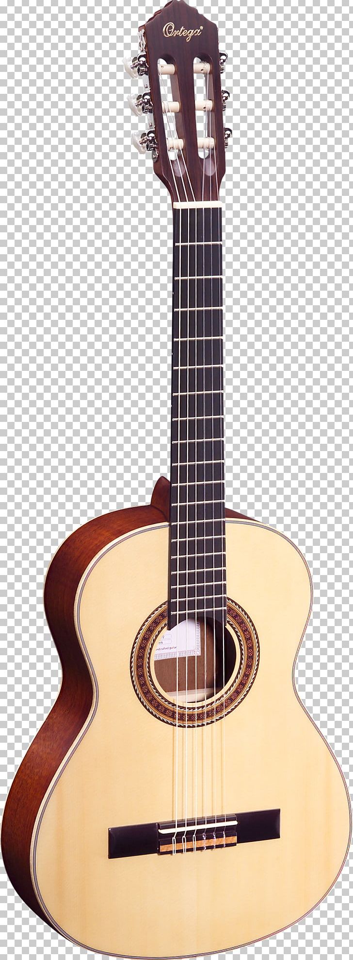 Twelve-string Guitar Steel-string Acoustic Guitar Acoustic-electric Guitar Musical Instruments PNG, Clipart, Amancio Ortega, Classical Guitar, Cuatro, Cutaway, Guitar Accessory Free PNG Download