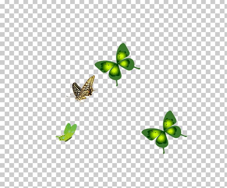 Butterfly Insect Green Membrane Pattern PNG, Clipart, Blue Butterfly, Butterflies, Butterfly, Butterfly Group, Butterfly Wings Free PNG Download