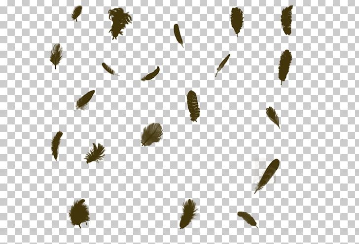 Feather Computer Icons PNG, Clipart, Art, Black And White, Branch, Brown Feathers, Computer Icons Free PNG Download