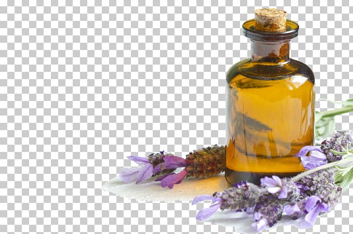 Lavender Oil Essential Oil Skin PNG, Clipart, Acacia Concinna, Almond Oil, Alternative Medicine, Antiseptic, Aromatherapy Free PNG Download