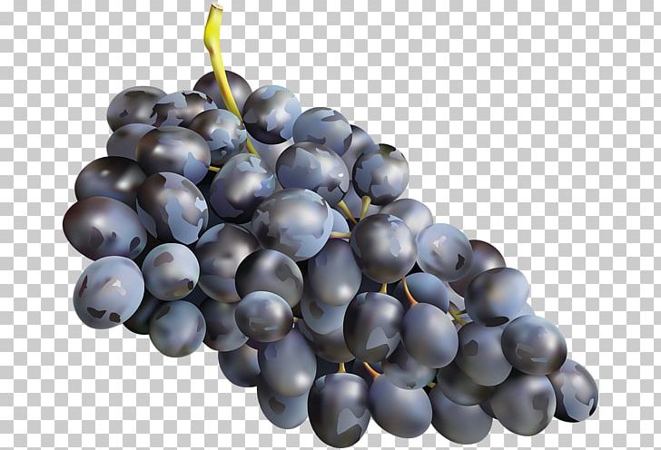 Muscadine Grape Zante Currant Muscat Must PNG, Clipart, Amazon Grape, Bilberry, Blueberry, Damson, Food Free PNG Download