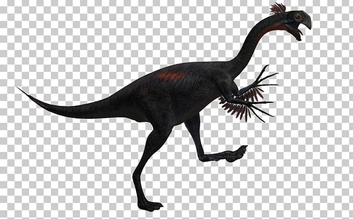 Velociraptor Tyrannosaurus Spinosaurus Gigantoraptor Deinonychus PNG, Clipart, Beast, Carnivore, Carnivores, Carnivorous Plant, Cartoon Dinosaur Free PNG Download