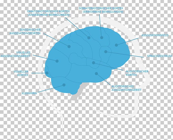 Brain Diagram Organism PNG, Clipart, Brain, Diagram, Microsoft Azure, Organ, Organism Free PNG Download