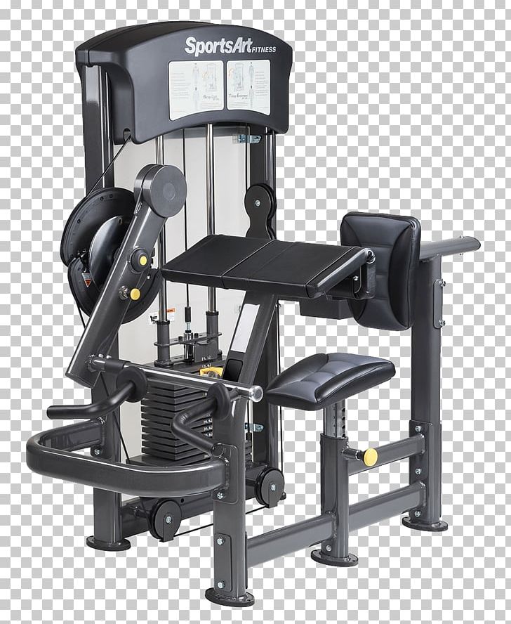 Fitness Centre Sport Physical Fitness Physical Strength Strength Training PNG, Clipart, Biceps, Biceps Curl, Dumbbell, Exercise Equipment, Exercise Machine Free PNG Download
