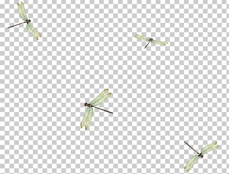 Insect Propeller Rotorcraft Wing PNG, Clipart, Aircraft, Airplane, Airship, Air Travel, Animals Free PNG Download