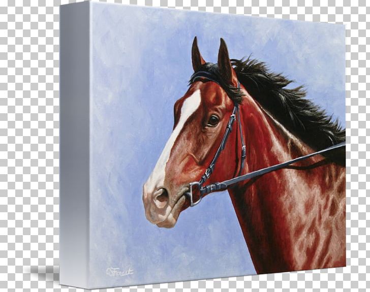 Thoroughbred Stallion American Paint Horse Oil Painting PNG, Clipart, American Paint Horse, Art, Bridle, Drawing, Halter Free PNG Download