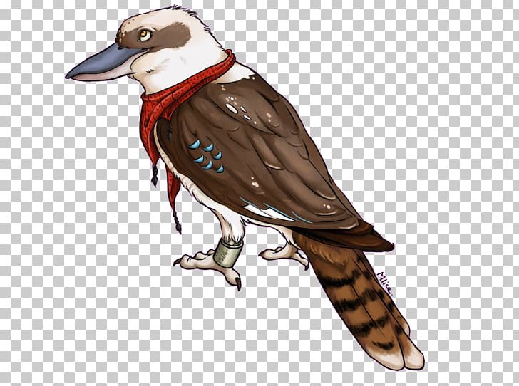 Drawing Kookaburra Art PNG, Clipart, Art, Artist, Beak, Bird, Cartoon Free PNG Download