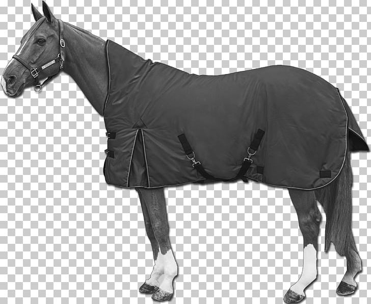 Horse Blanket Stallion Mare PNG, Clipart, Animals, Black And White, Blanket, Bridle, Canon Eos 1200d Free PNG Download
