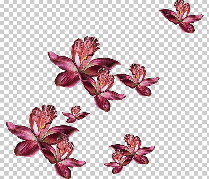 Petal Cut Flowers Garden Roses Floral Design PNG, Clipart, Art, Blossom, Blue Rose, Cut Flowers, Floral Design Free PNG Download