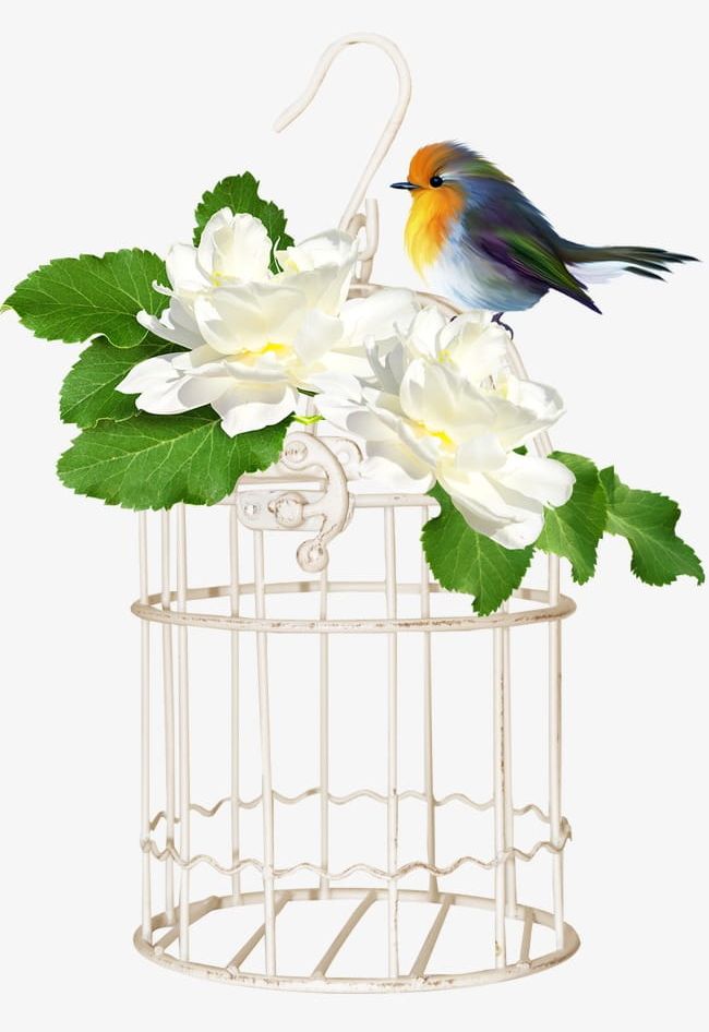 Birdcage PNG, Clipart, Bird, Birdcage, Birdcage Clipart, Cage, Flowers Free PNG Download