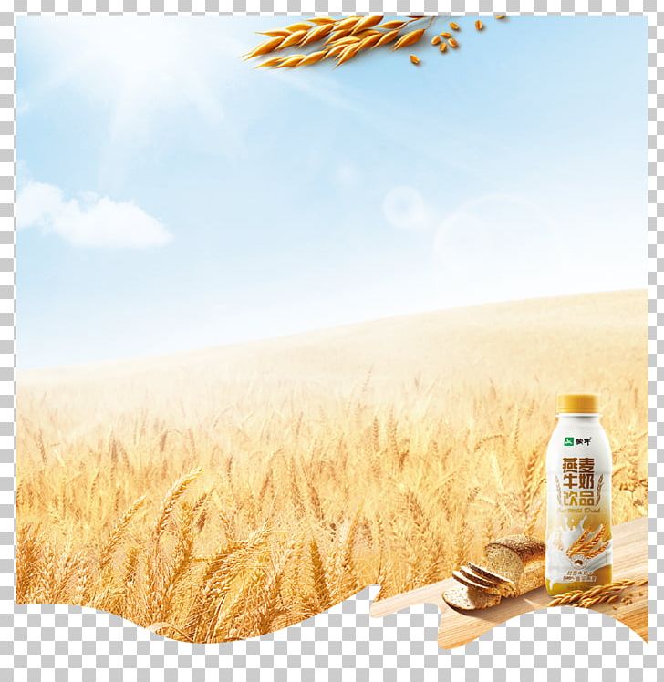 Emmer Poster Oat PNG, Clipart, Advertisement Poster, Advertising, Background Vector, Bran, Cereal Free PNG Download