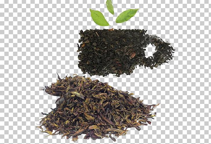 Nilgiri Tea Green Tea Keemun Oolong PNG, Clipart, Camellia Fruit, Ceylon Tea, Chun Mee Tea, Food, Fruit Free PNG Download
