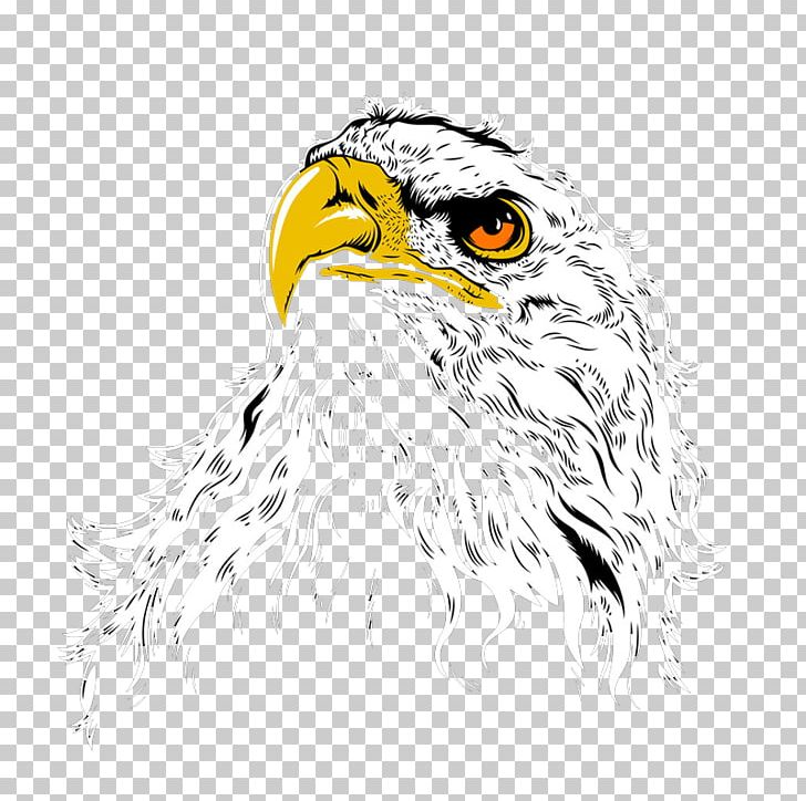 Bald Eagle Owl Hawk Illustration PNG, Clipart, Accipitriformes, Animal, Animals, Beak, Bird Free PNG Download