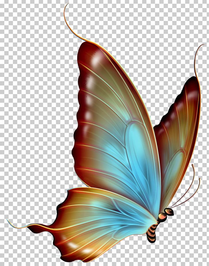 Butterfly PNG, Clipart, Blue, Brown, Butterflies, Butterflies And Moths, Butterfly Free PNG Download