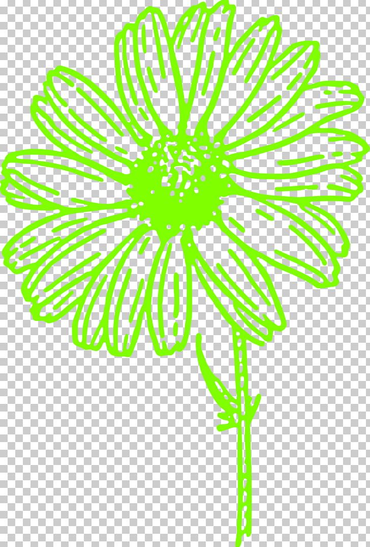 Common Daisy PNG, Clipart, Art, Black And White, Blossom, Chrysanths, Common Daisy Free PNG Download