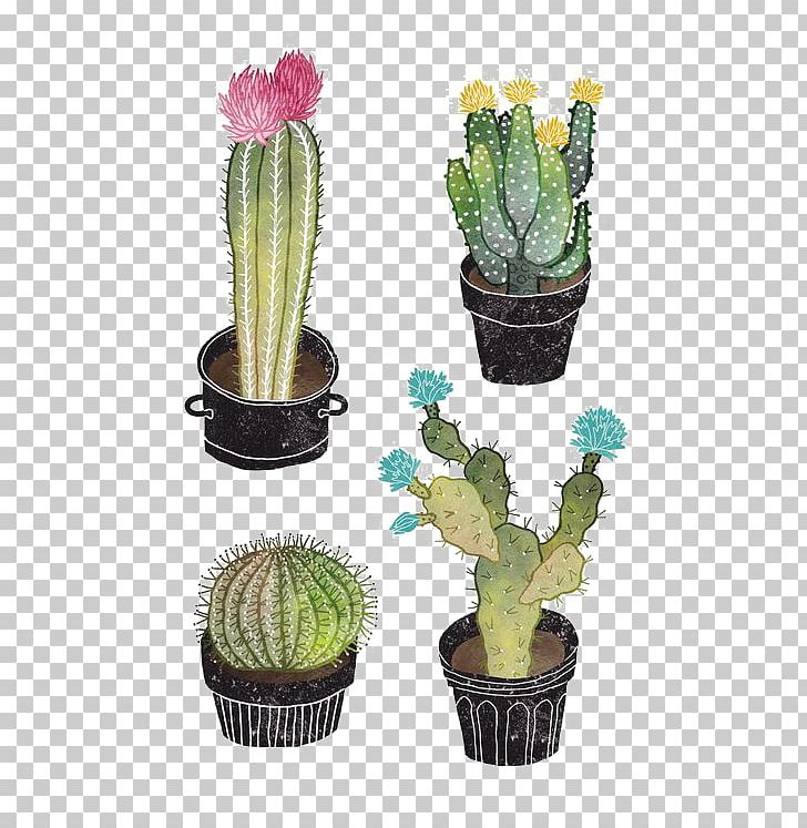 Cactaceae Succulent Plant Watercolor Painting Illustration PNG, Clipart, Art, Bonsai, Botany, Cactus, Cactus Cartoon Free PNG Download