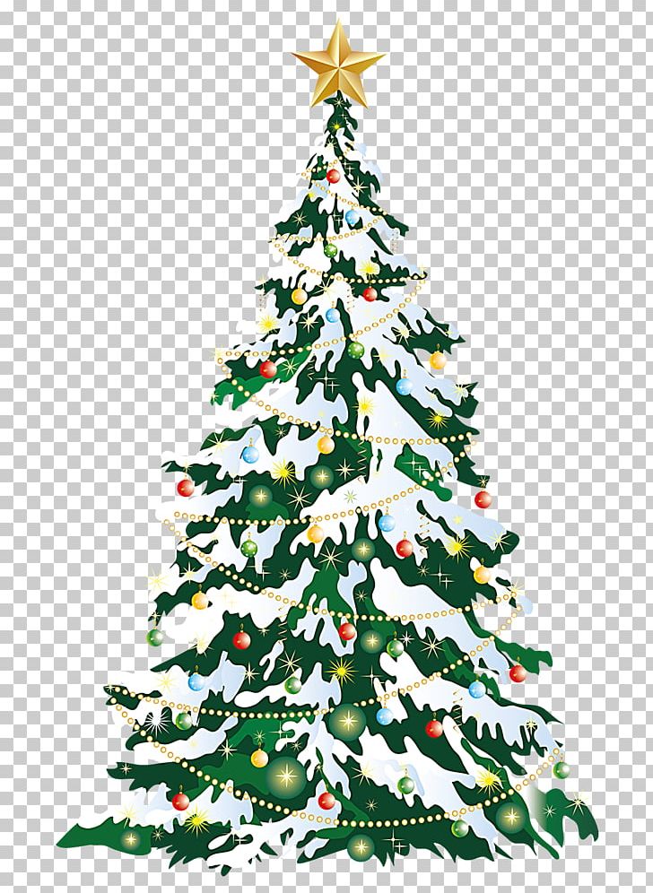 Christmas Tree Christmas Card PNG, Clipart,  Free PNG Download