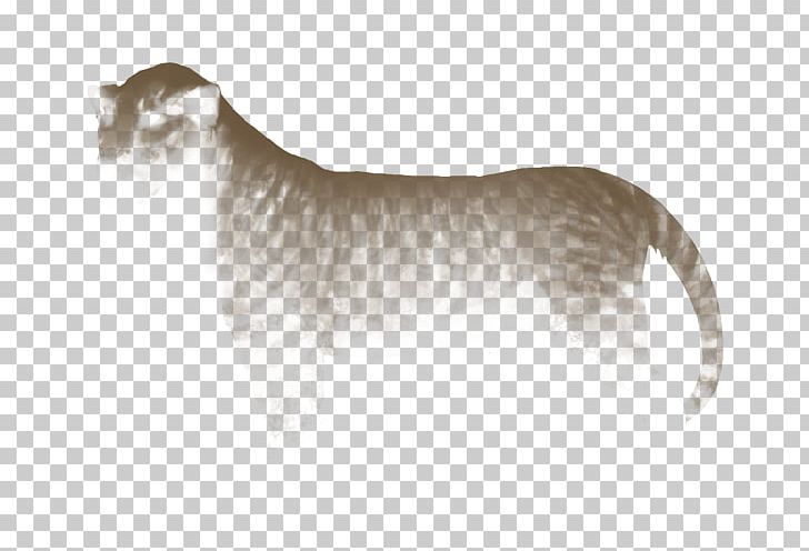 Whiskers Tiger Wildcat Dog Breed PNG, Clipart, Animals, Big Cat, Big Cats, Black Lion, Breed Free PNG Download