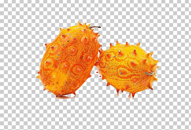 Horned Melon Cucumber Fruit Stock Photography PNG, Clipart, Africa Continent, Africa Map, Cucumber, Cucumis, Cucurbita Free PNG Download