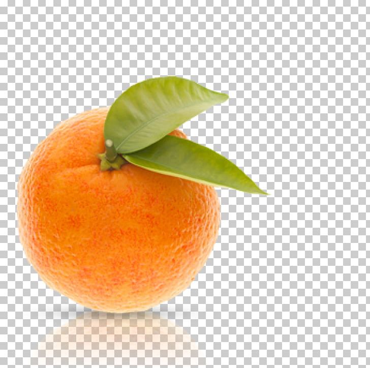 Clementine Mandarin Orange Tangerine Tangelo Rangpur PNG, Clipart, Apple, Bitter Orange, Citric Acid, Citrus, Clementine Free PNG Download