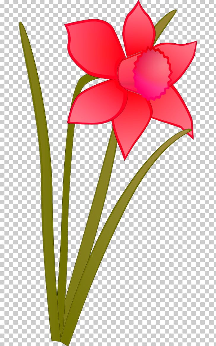 Daffodil Flower PNG, Clipart, Blog, Cut Flowers, Daffodil, Desktop Wallpaper, Flora Free PNG Download