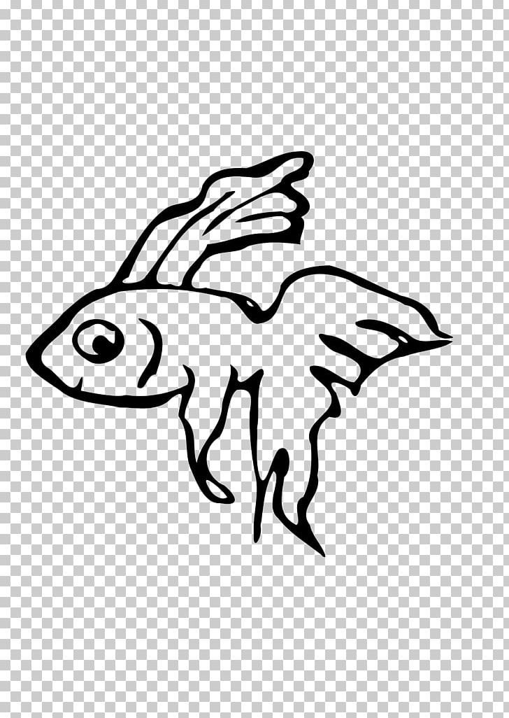 Siamese Fighting Fish Drawing PNG, Clipart, Animals, Area, Art, Artwork, Betta Free PNG Download