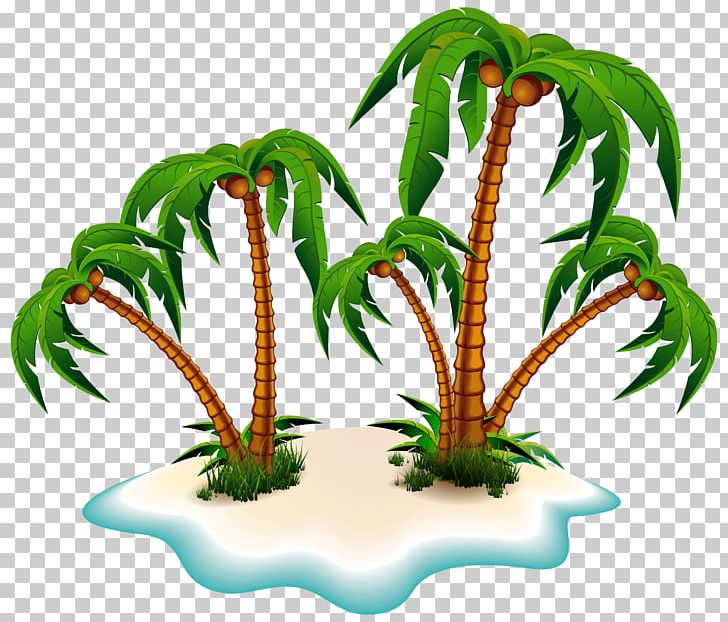 Arecaceae Island Tree PNG, Clipart, Aquarium Decor, Arecaceae, Arecales, Cdr, Coconut Free PNG Download