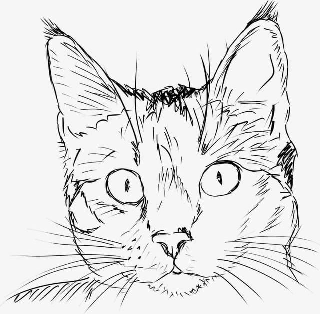 Cat PNG, Clipart, Family, Good Friend, Pet Free PNG Download